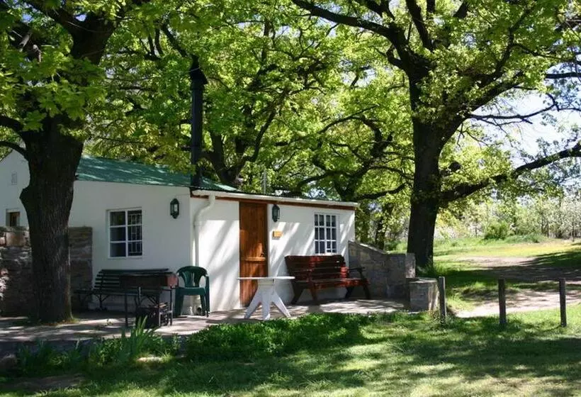 ホテル Klondyke Cherry Farm