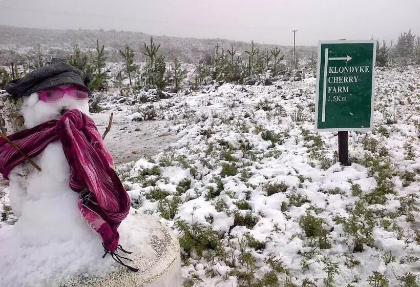 ホテル Klondyke Cherry Farm