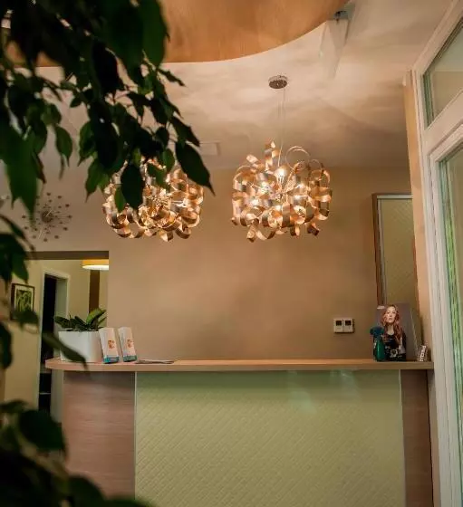 ペンション Braun Rooms Deluxe