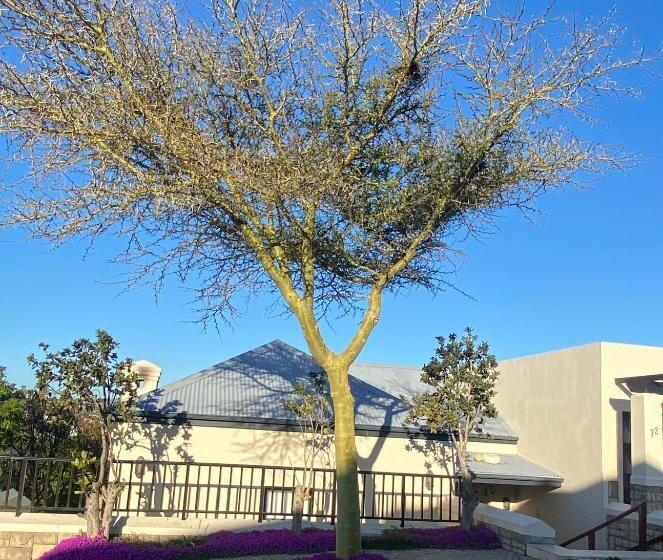 بنسيون Sweet Dreams Guest House