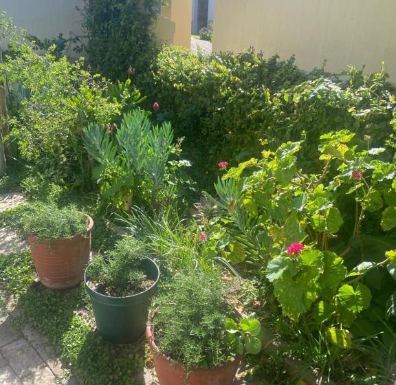 بنسيون Sweet Dreams Guest House