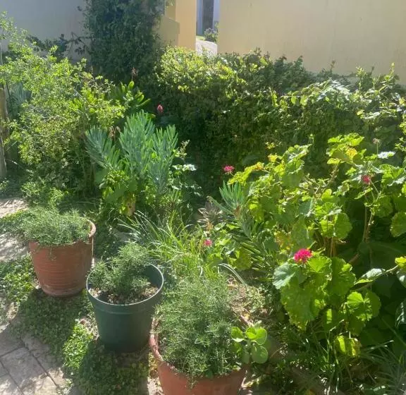 ペンション Sweet Dreams Guest House