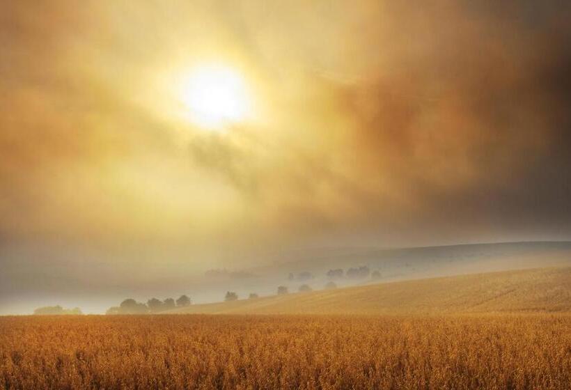 فندق Helen Browning's Royal Oak