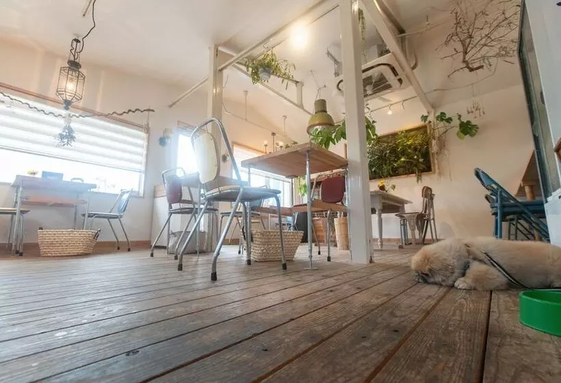 ペンション Cafe&guest House Kaede Hostel