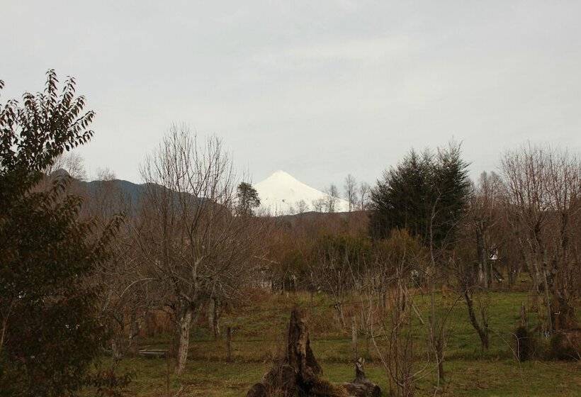 Herberge Hosteria Y Camping Del Bosque Pucón