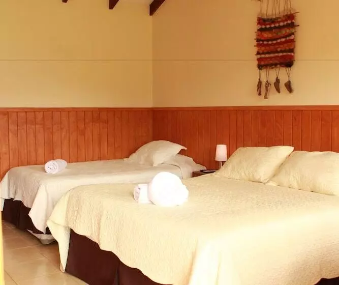 ユースホステル Hosteria Y Camping Del Bosque Pucón