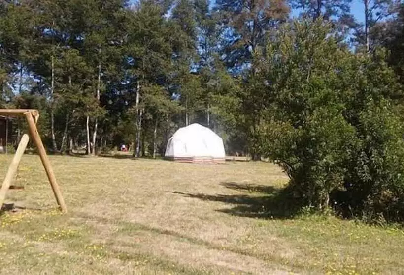 ユースホステル Hosteria Y Camping Del Bosque Pucón