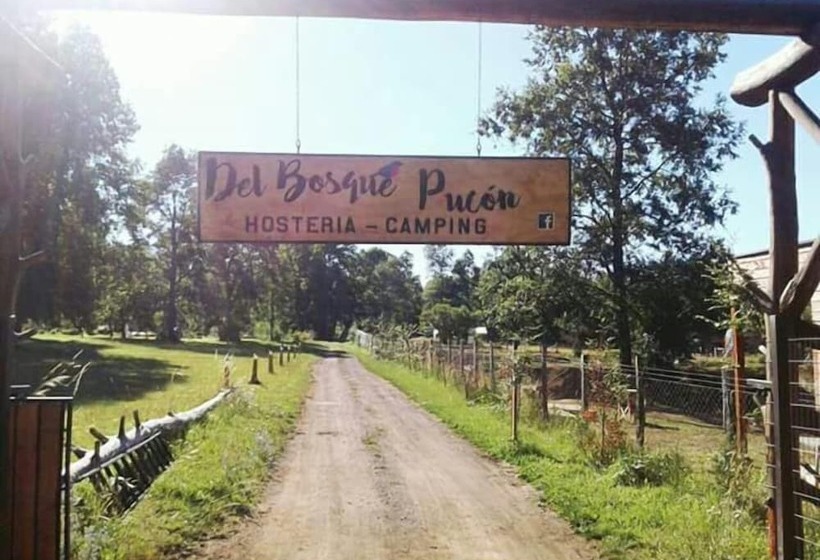 Herberge Hosteria Y Camping Del Bosque Pucón