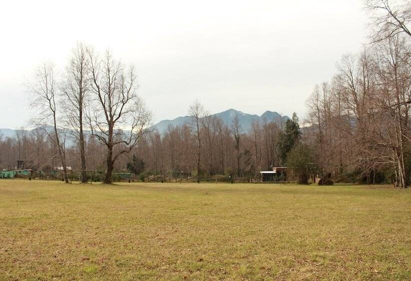 Herberge Hosteria Y Camping Del Bosque Pucón