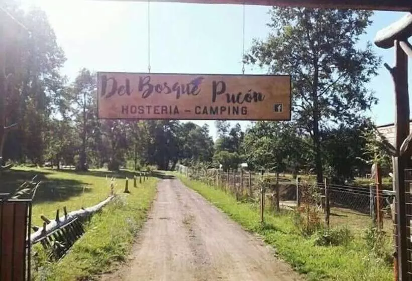 ユースホステル Hosteria Y Camping Del Bosque Pucón