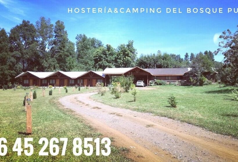 Herberge Hosteria Y Camping Del Bosque Pucón