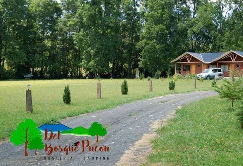 Herberge Hosteria Y Camping Del Bosque Pucón
