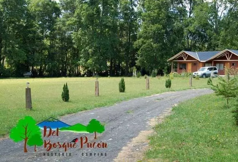 ユースホステル Hosteria Y Camping Del Bosque Pucón