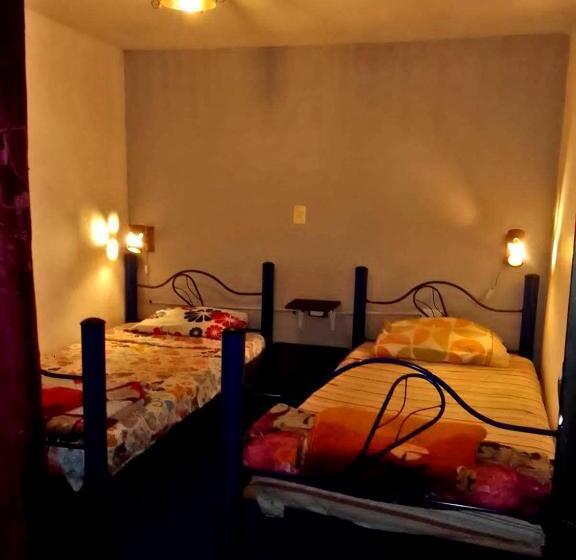 فندق صغير Hostal Música Y Arte