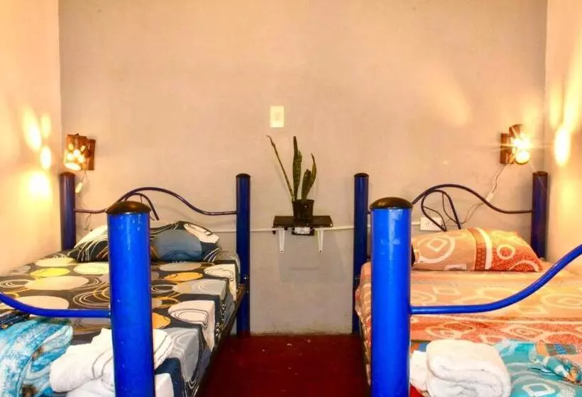 Retkeilymaja Hostal Música Y Arte