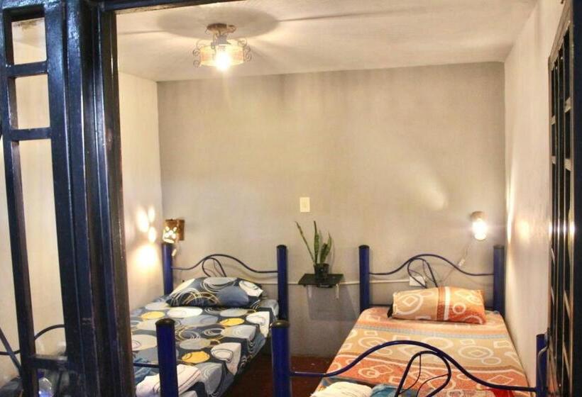 فندق صغير Hostal Música Y Arte