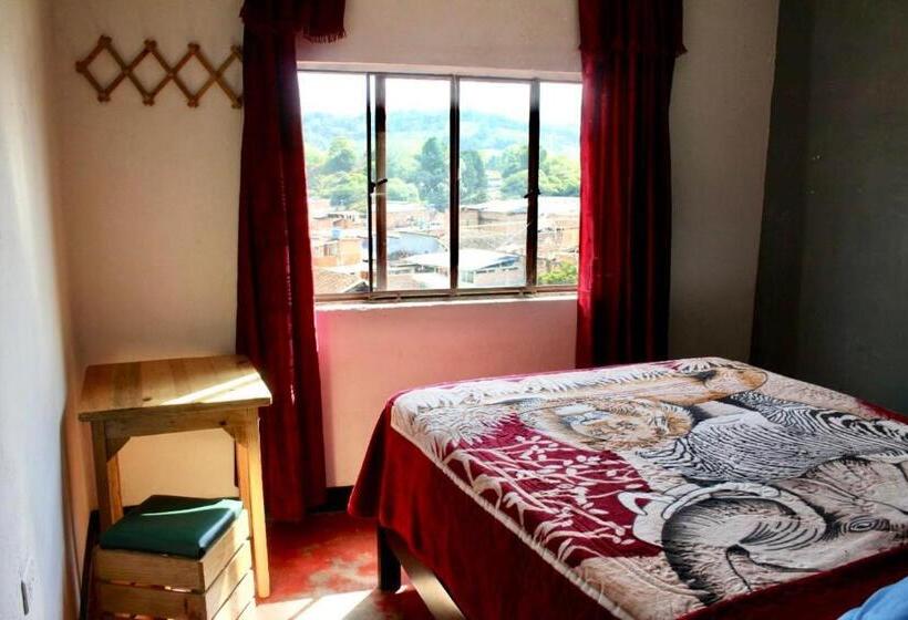 فندق صغير Hostal Música Y Arte