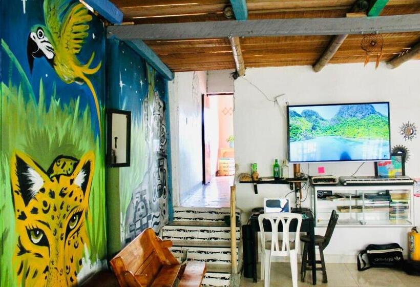 فندق صغير Hostal Música Y Arte