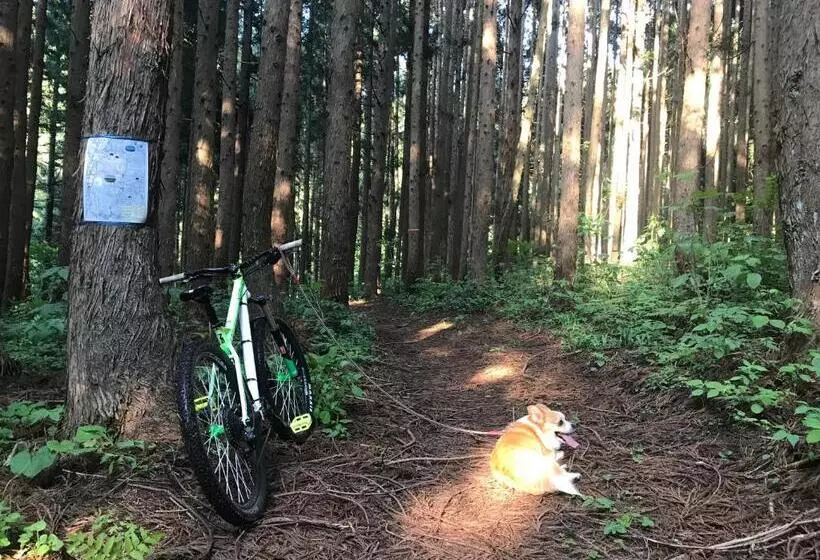 ペンション Nori's Sharehouse Hakuba