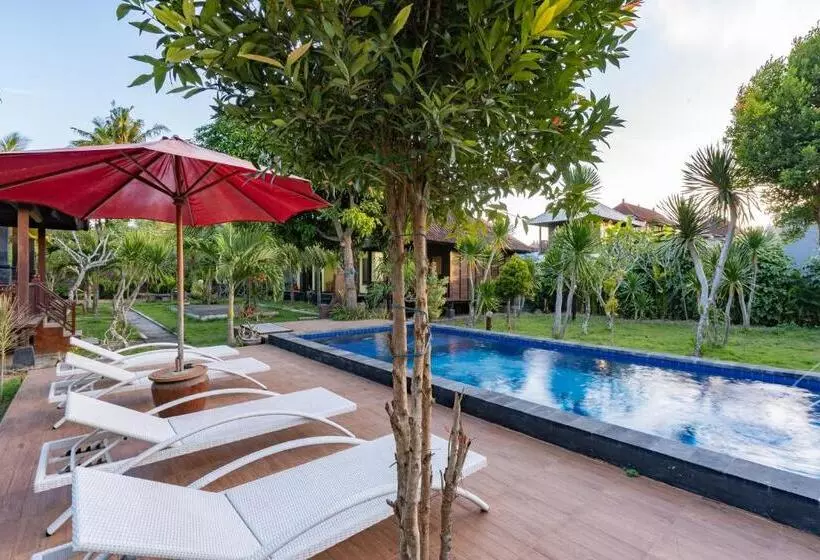 ペンション Puri Soka Lembongan By Abm