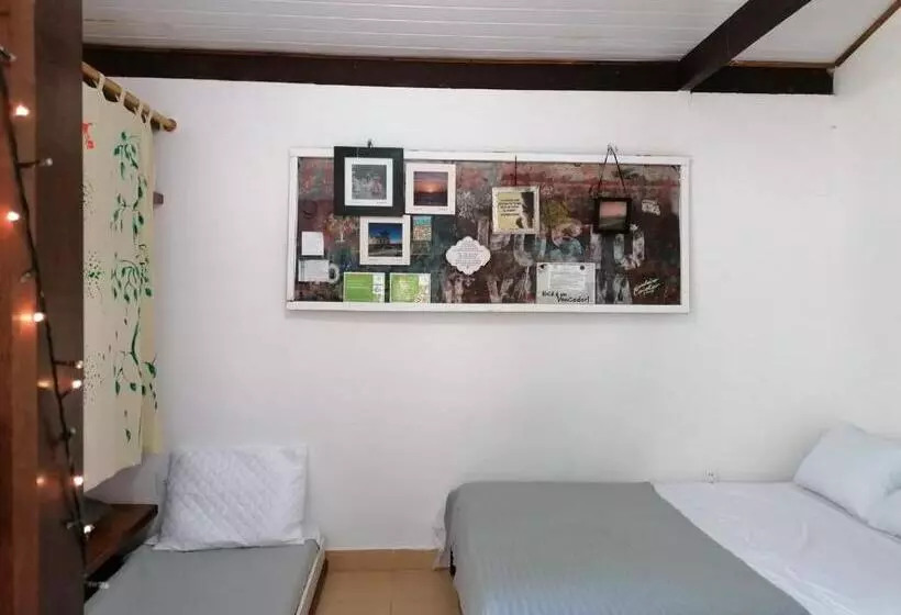 ペンション Recanto Dos Pássaros Hospedaria Zen E Banho De Floresta Arua