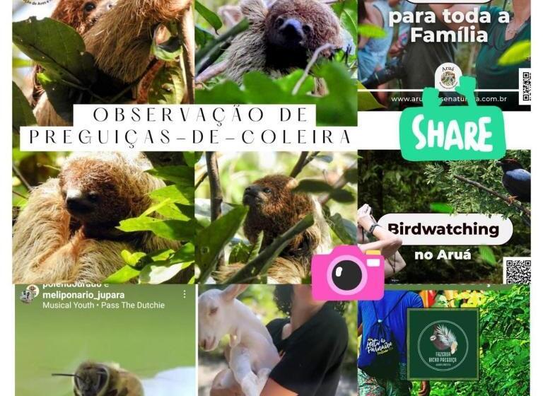 פנסיון Recanto Dos Pássaros Hospedaria Zen E Banho De Floresta Arua