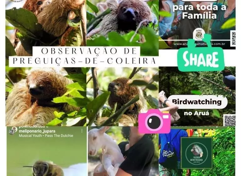 ペンション Recanto Dos Pássaros Hospedaria Zen E Banho De Floresta Arua