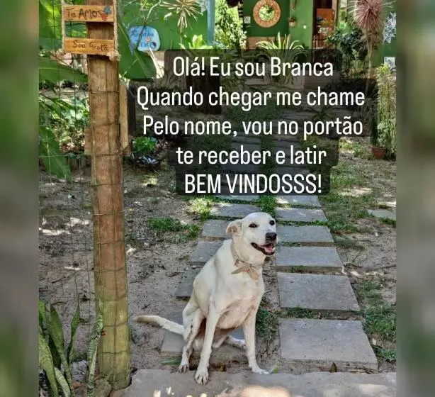ペンション Recanto Dos Pássaros Hospedaria Zen E Banho De Floresta Arua