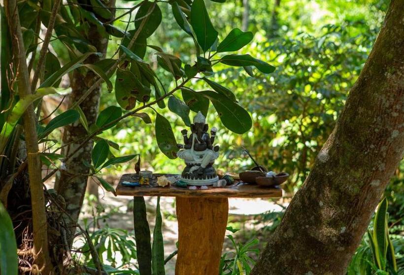 פנסיון Recanto Dos Pássaros Hospedaria Zen E Banho De Floresta Arua
