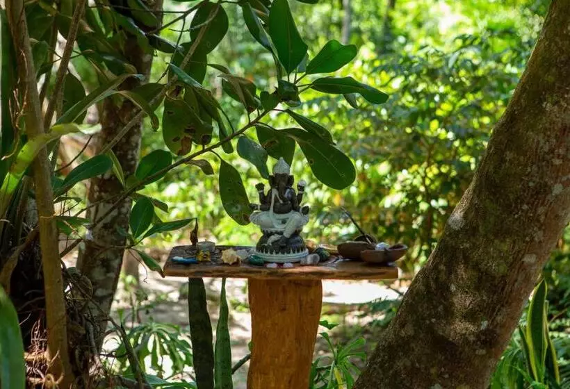 ペンション Recanto Dos Pássaros Hospedaria Zen E Banho De Floresta Arua