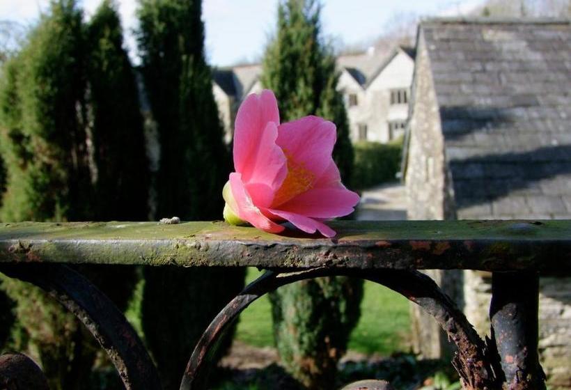 Aamiaismajoitus (B&B) Ranscombe Manor