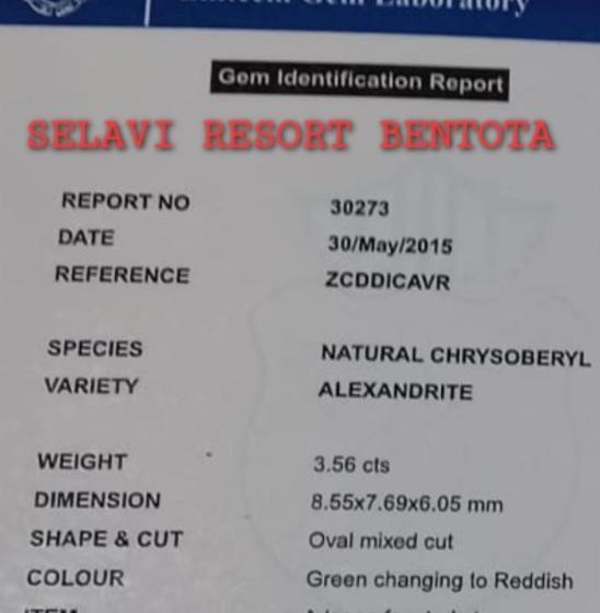 بنسيون Selavi Resort Bentota