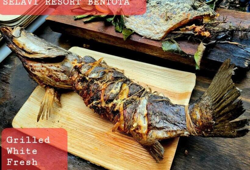 بنسيون Selavi Resort Bentota