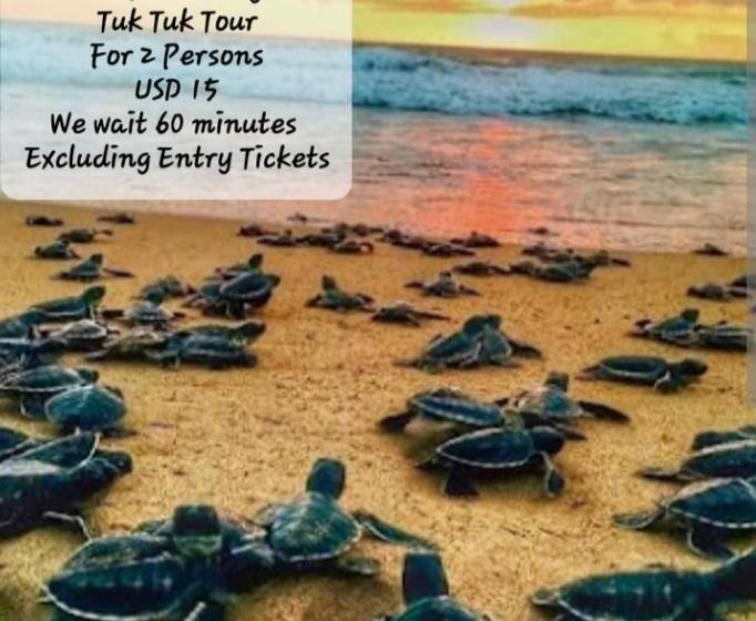 بنسيون Selavi Resort Bentota