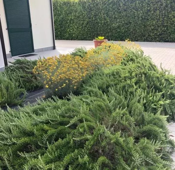 Rta La Pineta