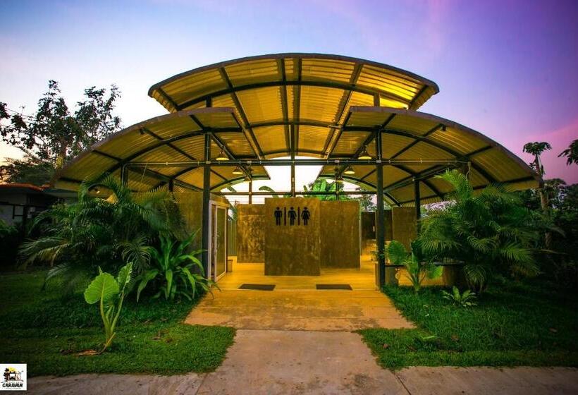 膳宿费 Classiccar Caravan