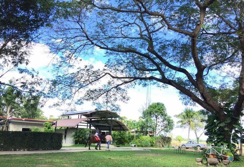 膳宿费 Classiccar Caravan