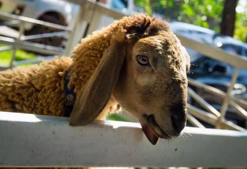 ペンション Classiccar Caravan
