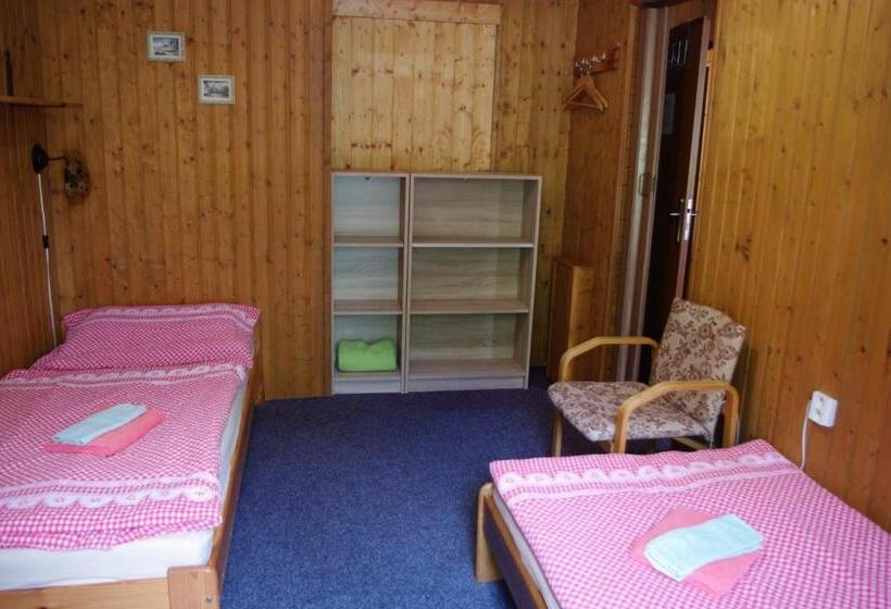 Pensionat Penzion U Lebedů