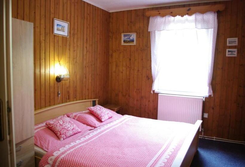 Pensionat Penzion U Lebedů