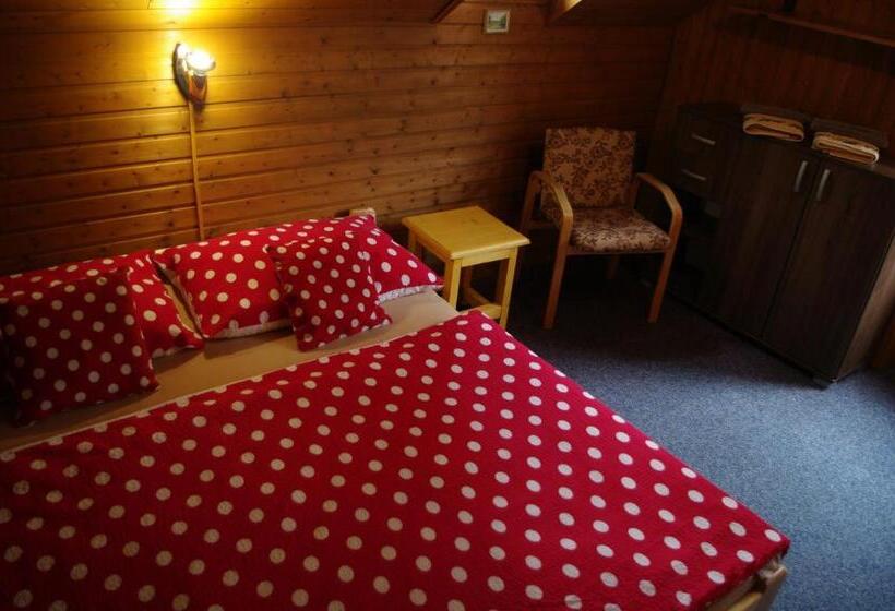 Pensionat Penzion U Lebedů