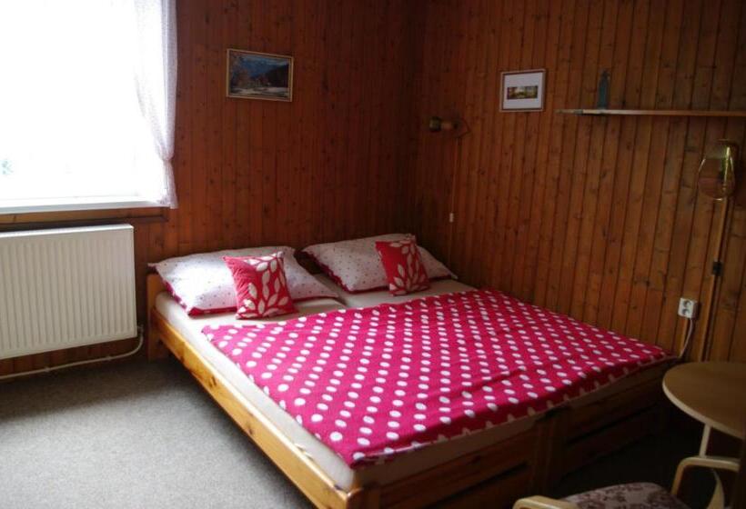 Pensionat Penzion U Lebedů