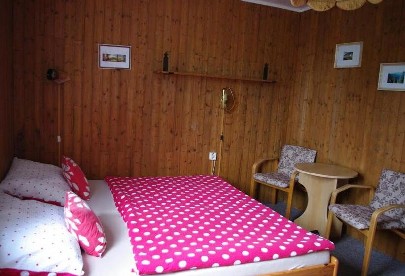 Pensionat Penzion U Lebedů