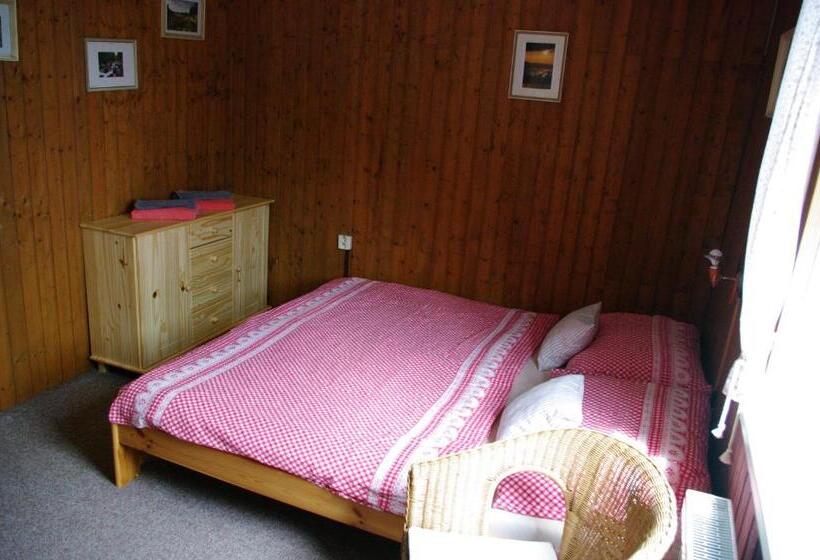 Pensionat Penzion U Lebedů