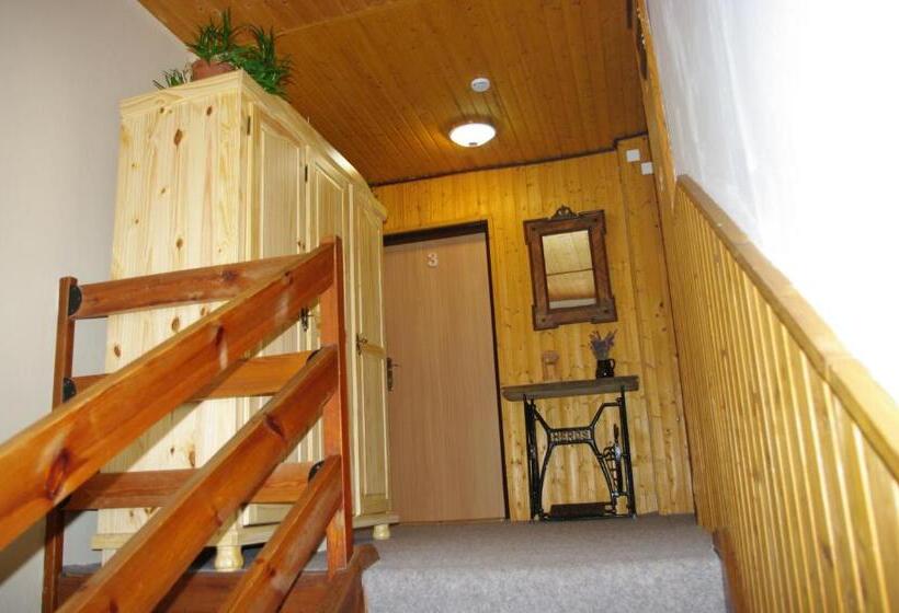 Pensionat Penzion U Lebedů