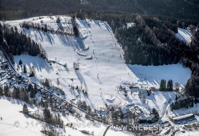 Pensionat Penzion U Lebedů
