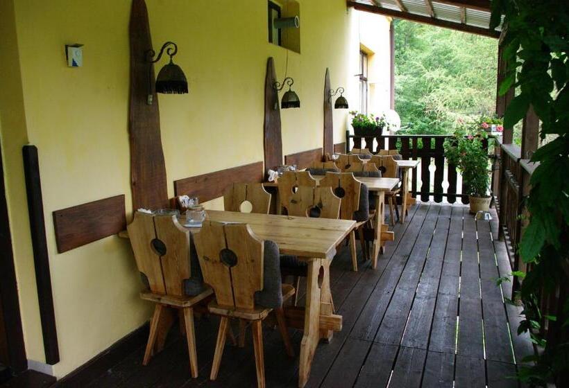 Pensionat Penzion U Lebedů