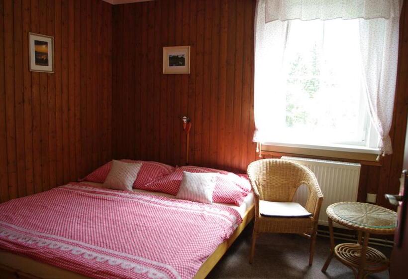 Pensionat Penzion U Lebedů