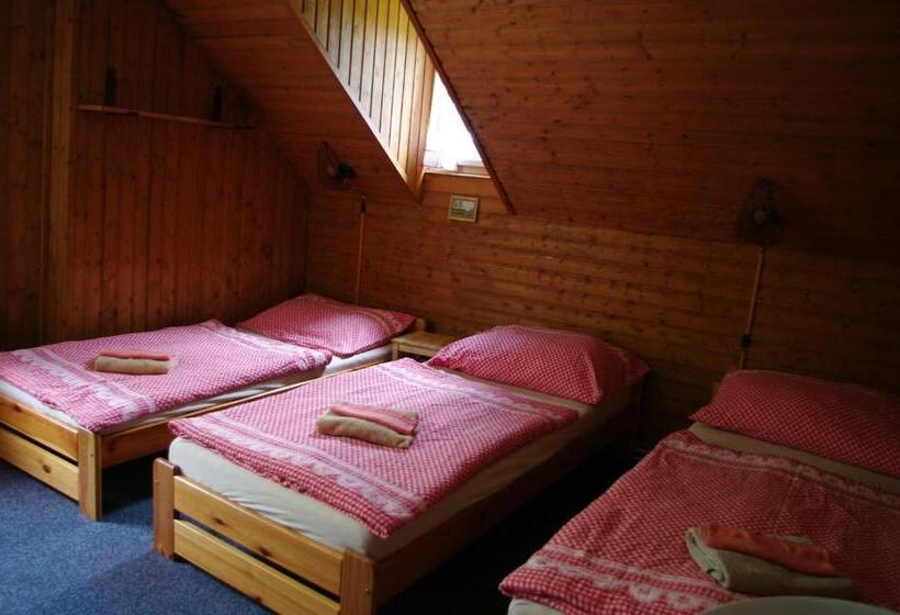 Pensionat Penzion U Lebedů