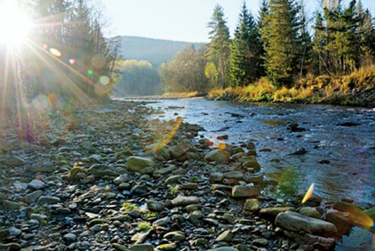 Pensionat Penzion U Lebedů